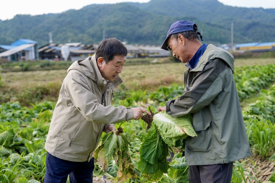 ▲ 충북 증평군이 최근 이례적인 가을장마로 농작물 피해가 확산됨에 따라 피해 농가를 직접 방문해 현장을 점검하고 대응책 마련에 나섰다.