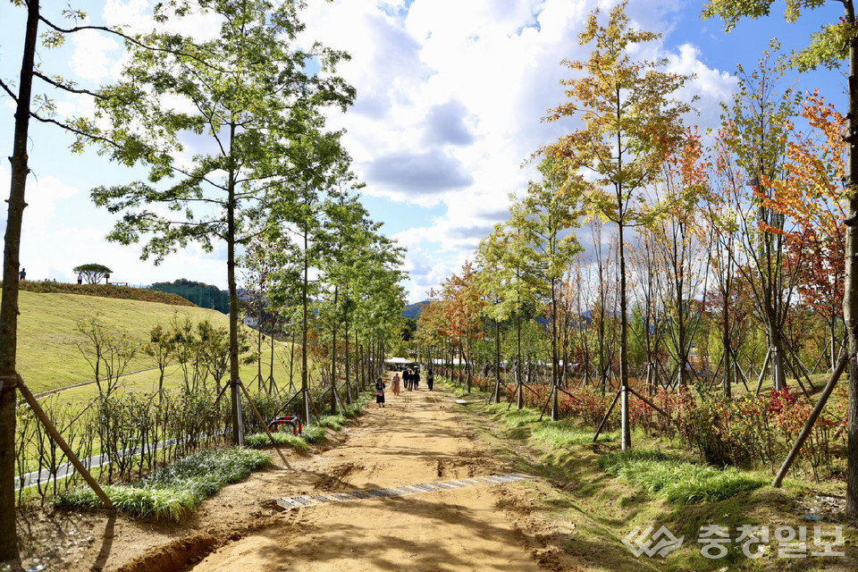 ▲ 충주시민의숲에 조성된 산책로.
