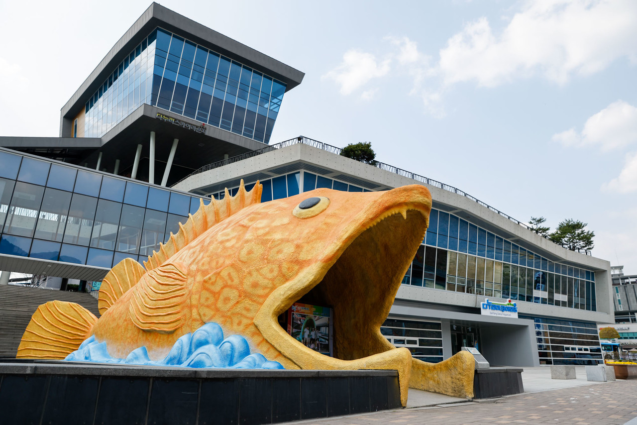 ▲ 민물고기 전시관 단양다누리아쿠아리움. 사진=단양군제공