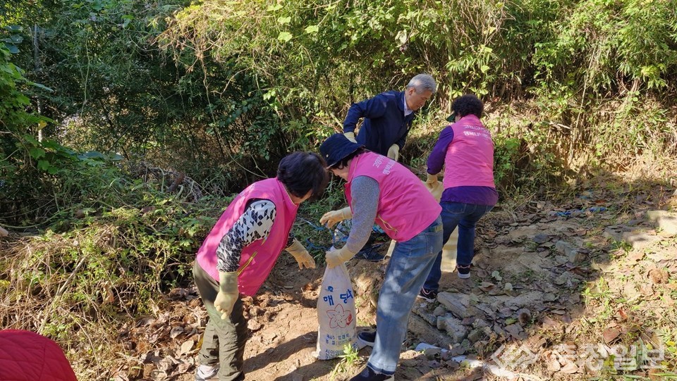 ▲ 고향주부모임 행복나눔봉사단 회원들과 농협 관계자들이 낡은 농가 주변을 정리하며 생활환경 개선 봉사를 펼치고 있다
