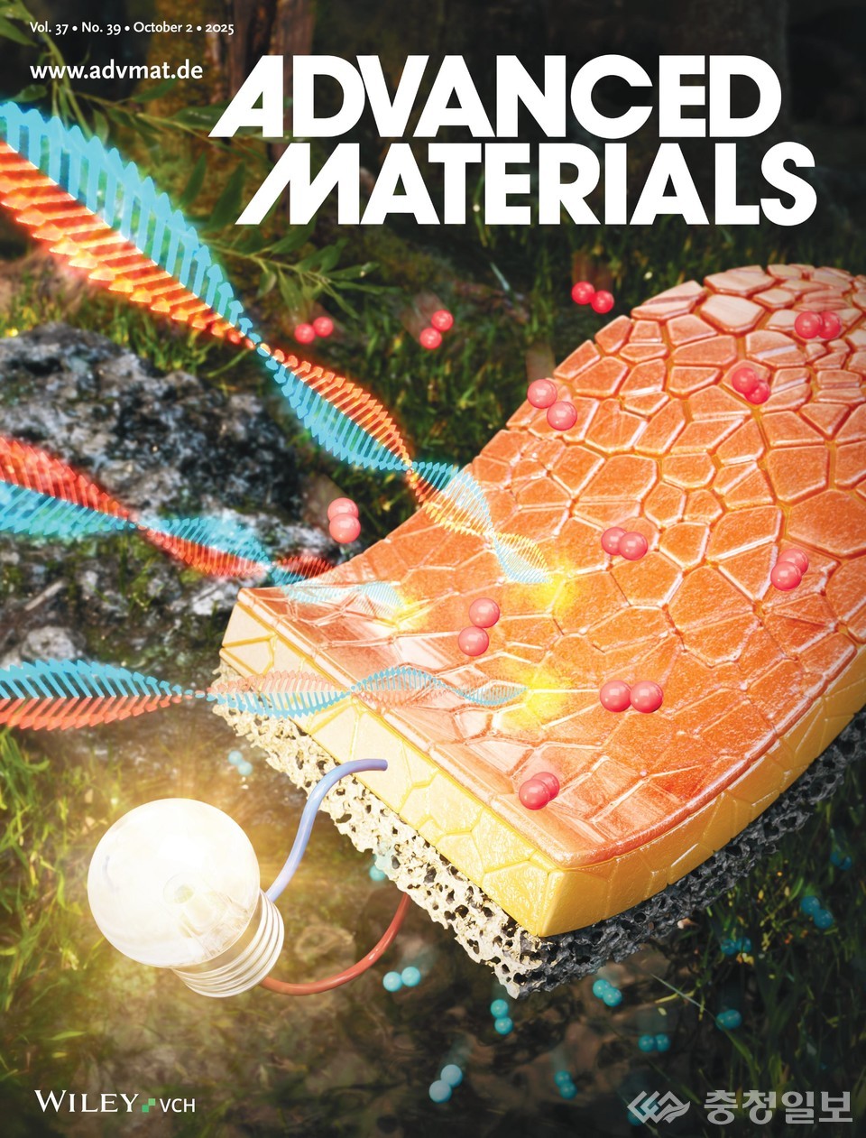 ▲ 어드밴스드 머티리어스(Advanced Materials) 저널표지에 소개된 논문
