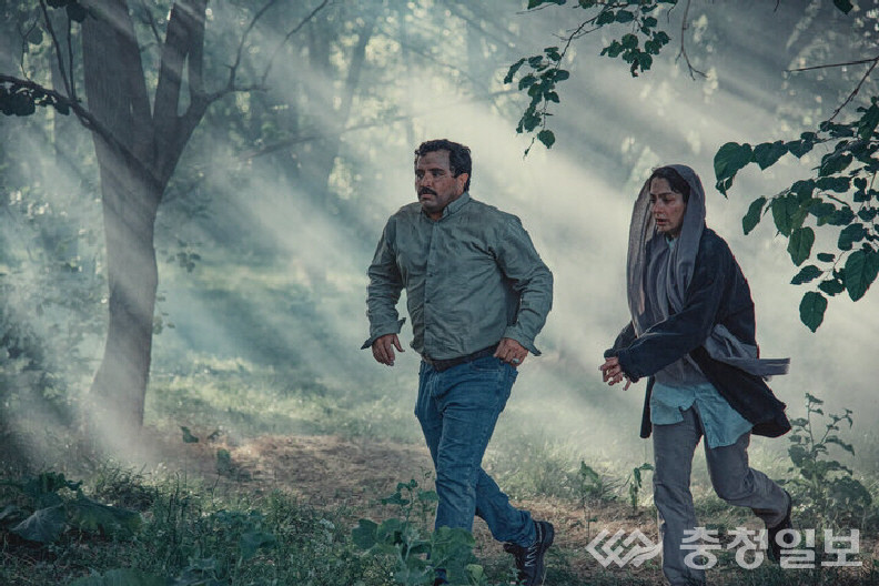 ▲ '나무의 품 안에서' 스틸 컷.