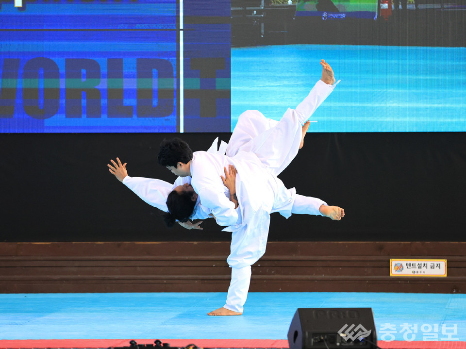 ▲ '16회 세계택견대회' 경기 모습.