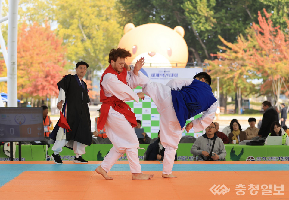 ▲ '16회 세계택견대회' 경기 모습.