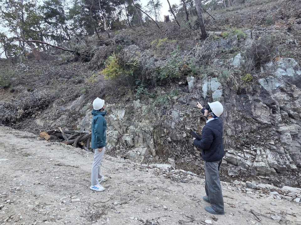 ▲ 벌목 현장 안전점검./금산군 제공