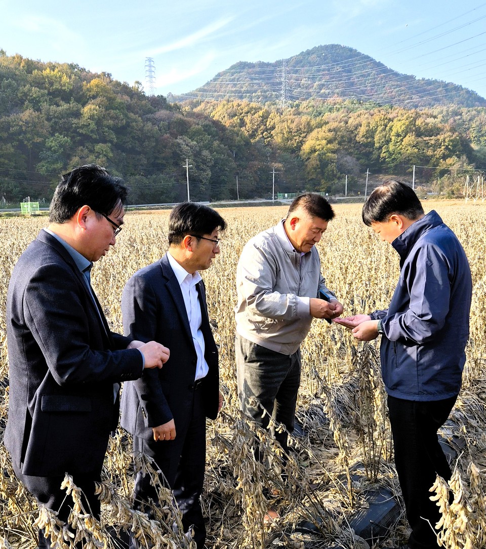 ▲ (오른쪽부터) 이용선 충북농협 총괄본부장, 장용상 불정농협 조합장, 박상민 충북농협 경제부본부장, 김두영 괴산군지부장이 콩 작황을 점검하고 있다.