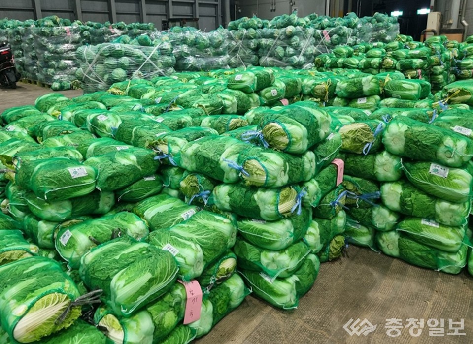 ▲ 대전 노은농수산물도매시장, 김장시장 개설