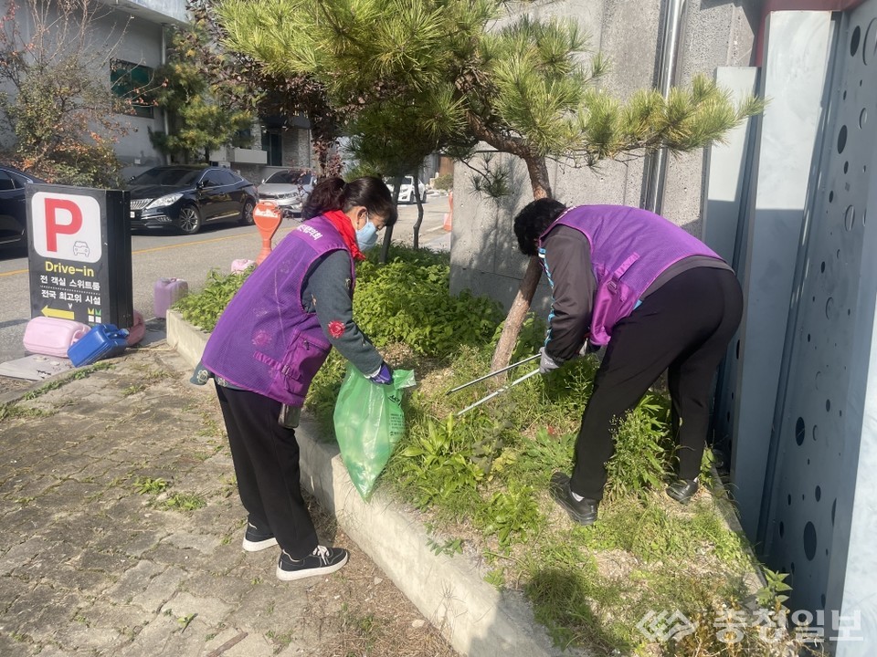 ▲ 국토대청결 운동을 펼치며 도심 녹지대의 쓰레기를 수거하고 있다