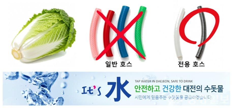 ▲ 김장철을 앞두고 일반 고무호스 사용을 피하고 음용수용 전용 호스를 이용하자는 안내 이미지를 대전시가 제공한 모습. 일반 호스는 고무 성분이 염소와 반응해 냄새물질을 만들 수 있어 수돗물 세척 시 전용 호스 사용을 권고하고 있다