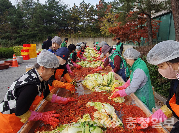 ▲ 충북 진천군 광혜원면 지사협 회원들이 지난 7일 광혜원면 행정복지센터에서 김장김치를 담그고 있다.