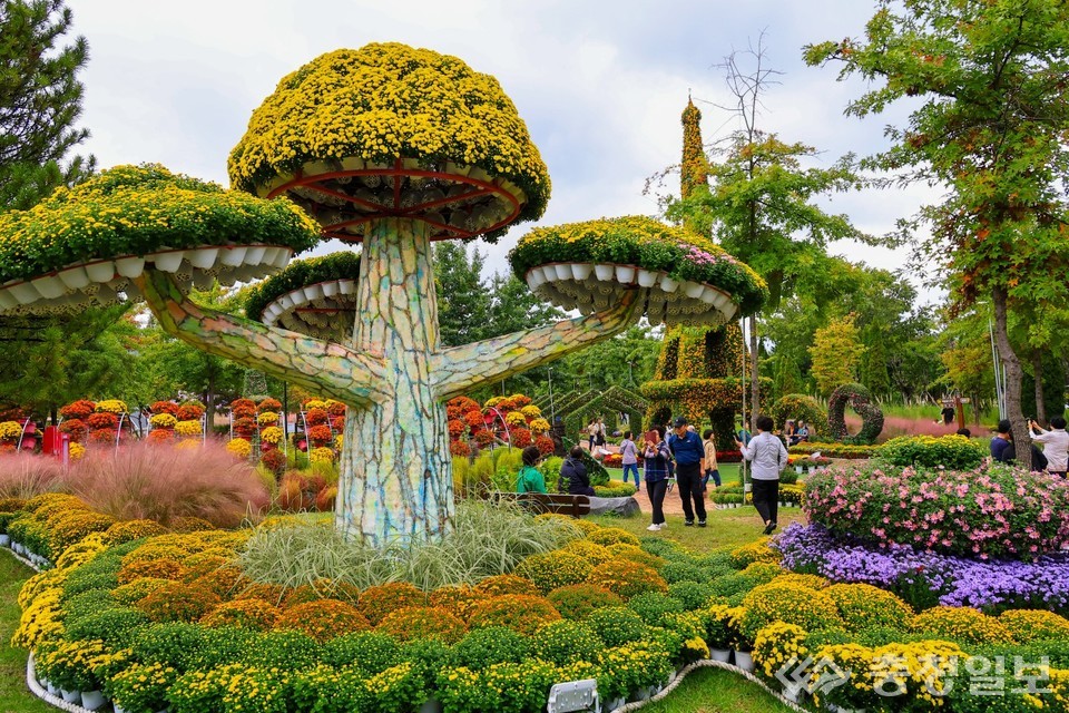 ▲ 유림공원 곳곳을 화려하게 채운 국화 조형물과 가을꽃을 즐기기 위해 찾은 시민들이 산책을 하며 축제 풍경을 감상하고 있다. ‘2025 유성국화축제’는 7000만 송이로 꾸며진 도심 속 가을정원을 선보이며 큰 호응을 얻었다