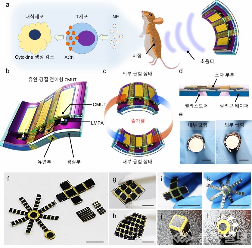▲ Flex-to-rigid(FTR) CMUT의 설계와 응용