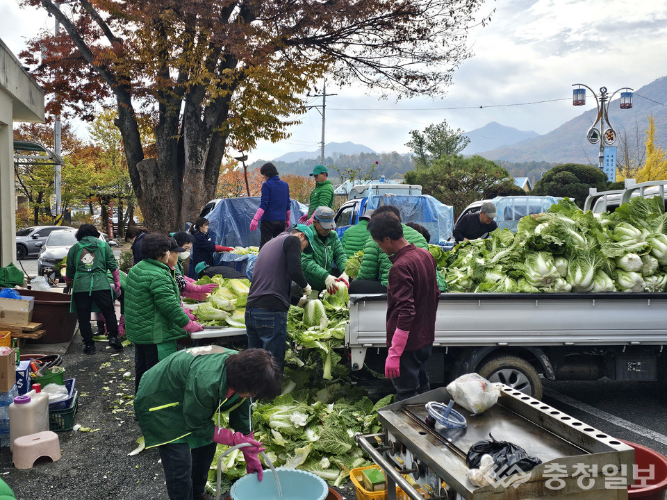 ▲ 추풍령면 새마을협의회 회원들이 이웃들에게 전달할 김장김치를 담그고 있다.