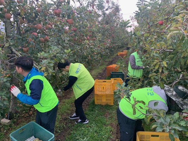예산군 수도과 직원들의 농촌 일손돕기 활동 모습 