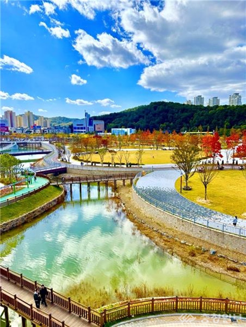 ▲ 갑천생태호수공원의 수변길이 햇빛 아래 반짝이며 계절의 깊이를 드러낸다. 고층빌딩과 숲이 맞닿은 대전 특유의 도시·자연 공존 풍경이 넓게 펼쳐지고, 물가를 따라 조성된 데크길을 걷는 시민들의 모습이 한적한 오후 분위기를 완성한다