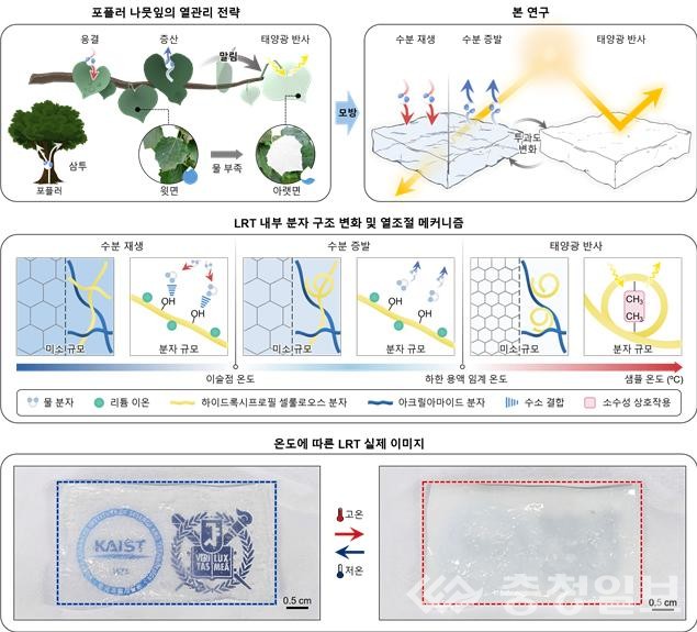 ▲ 포플러 나뭇잎의 열관리 전략을 모사한 하이드로겔 기반 자율 온도조절기의 작동 개념도