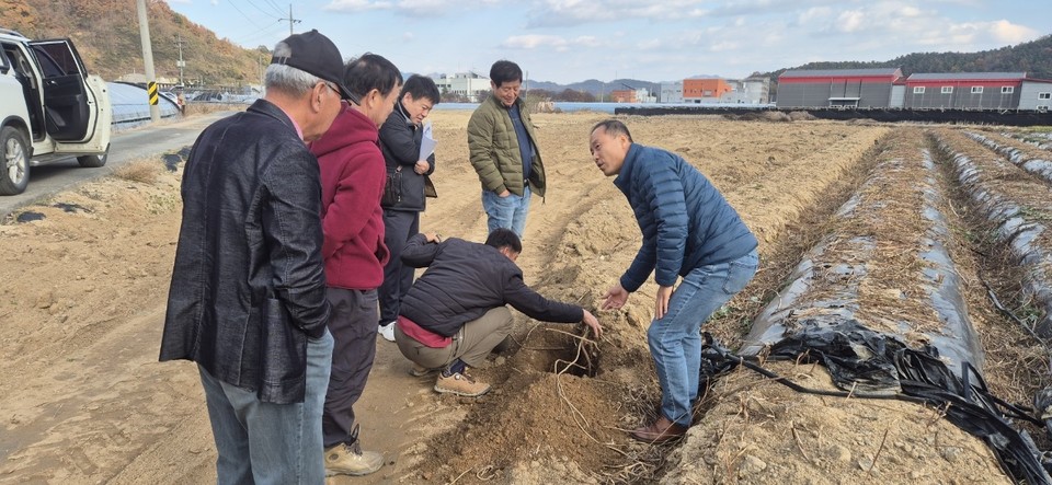 ▲ 농업기술센터 특화작목분야 시범사업 평가회./금산군 제공