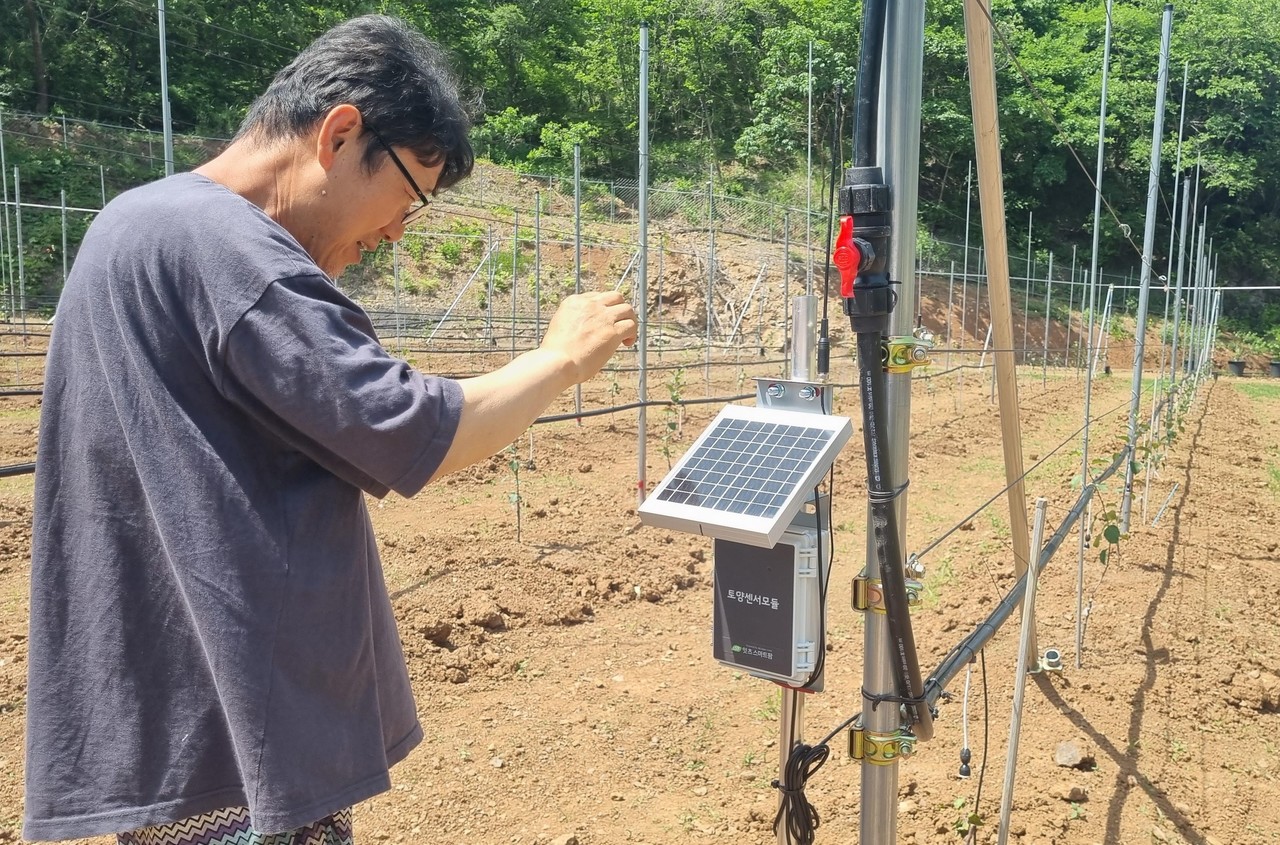 ▲ 노지 사과 스마트 과원을 조성한 농가가 통합센서를 살펴보고 있다. 사진=단양군제공