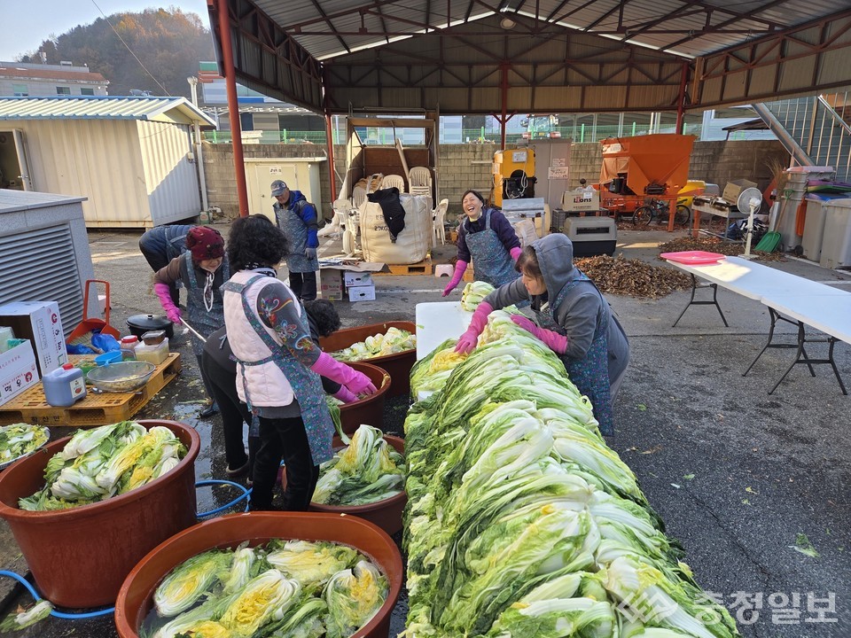 ▲ 학산면 지역사회보장협의체 위원들이 지역 내 저소득 취약계층 50가구에 나눠 줄 김장김치를 담그고 있다.