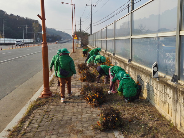 ▲ 신양면 새마을협의회 환경정비 작업 모습