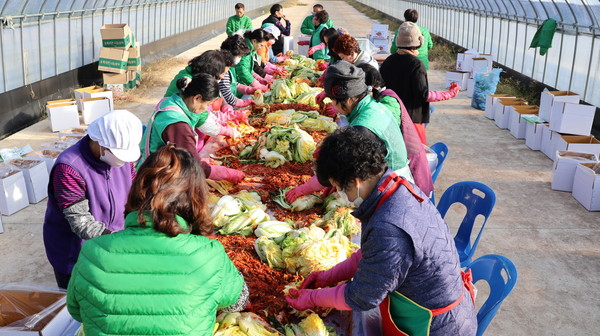 ▲ 광시면 김장 나눔 봉사 모습