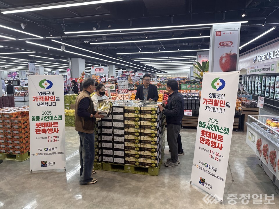 ▲ 영동군이 지난 20~26일 7일간 전국 롯데마트 111개 매장에서 영동 샤인머스캣 활인행사를 진행한다.