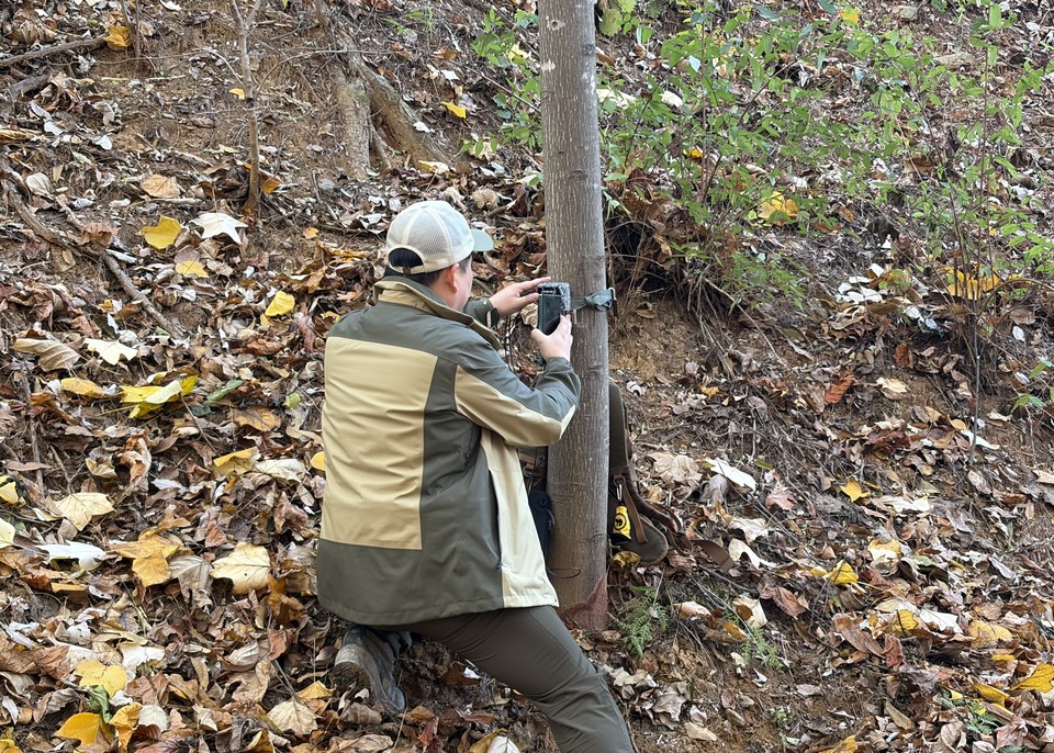 ▲ 국립공원공단 관계자가 청남대에 야생동물 관찰용 몰래카메라를 설치하고 있다.