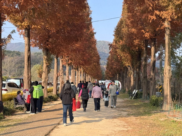 ▲ 덕산온천 명상치유숲길 황토 둘레길 걷기 행사 모습