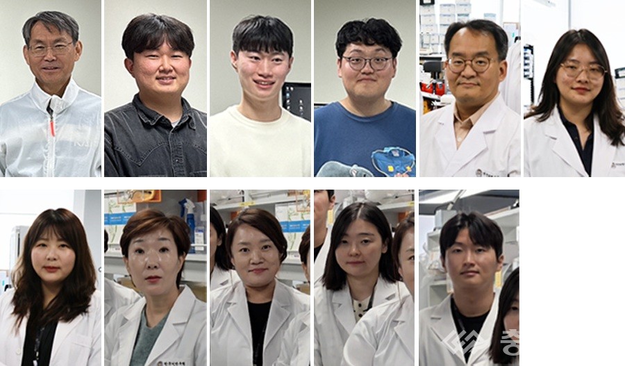 ▲ 왼쪽부터 KAIST 최경철 교수, 노병주 박사, 정영훈 박사과정, 박민우 석박통합과정. 한국뇌연구원 구자욱 박사, 이지윤 연구원, 이지은 연구원, 허향숙 박사, 이현주 박사, 강소라 박사, 오석준 연구원