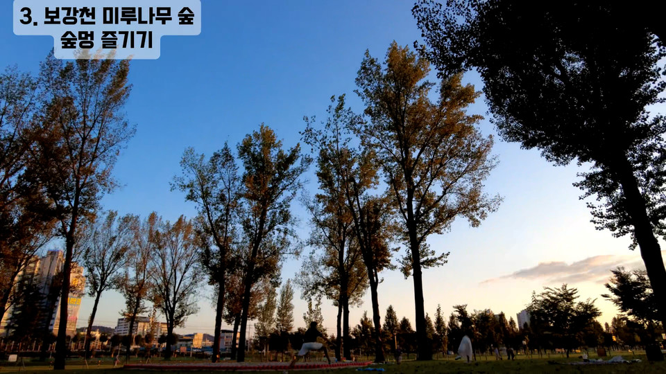 ▲ '2025년 2회 사랑나눔 영상자서전 공모전' 에서 대상을 수상한 '마음이 머무는 곳,증평'작품사진.