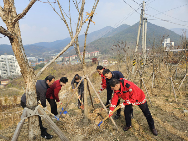 ▲ 숲 가꾸기 1일 체험행사 진행 모습
