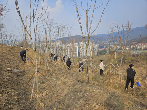 ▲ 숲 가꾸기 1일 체험행사 진행 모습