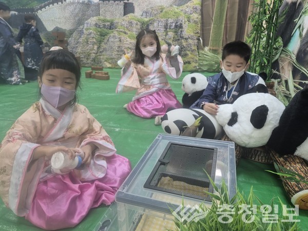 ▲ 금왕유치원 유아들이 판다인형으로 중국 동물문화 놀이를 하고 있다.