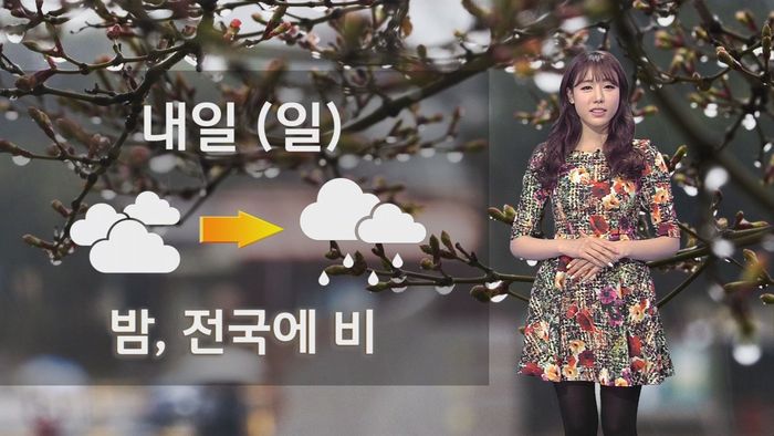 달샤벳 비키, 기상캐스터로 깜짝 '데뷔'